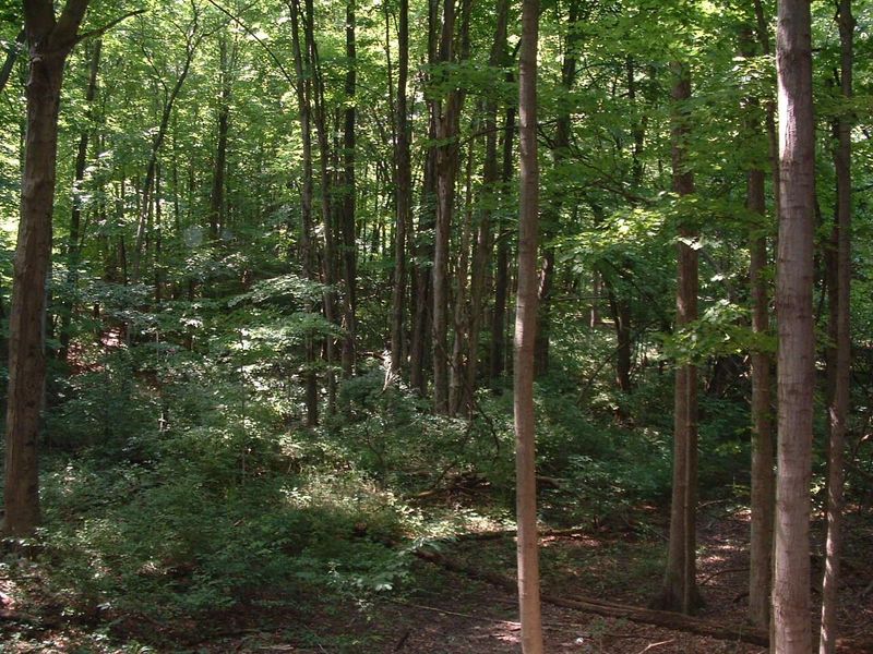 9311 Jug Road NW, Pataskala, OH 43062 Photo 70