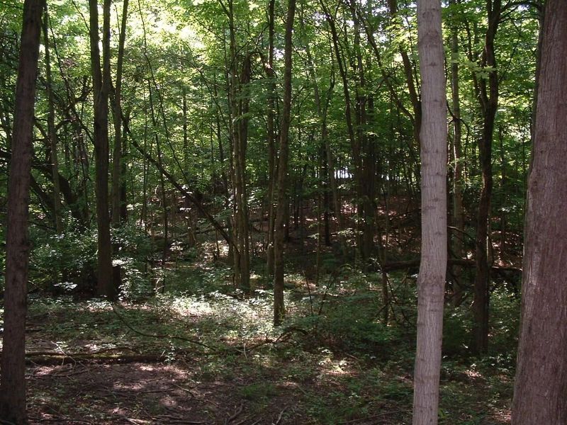 9311 Jug Road NW, Pataskala, OH 43062 Photo 72