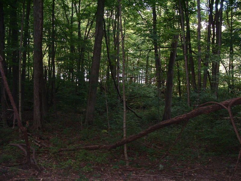 9311 Jug Road NW, Pataskala, OH 43062 Photo 72