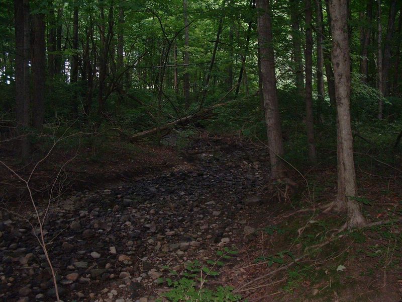 9311 Jug Road NW, Pataskala, OH 43062 Photo 73