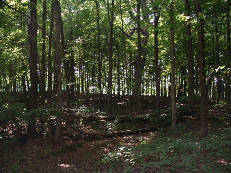 9311 Jug Road NW, Pataskala, OH 43062 Photo 74