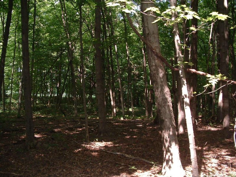 9311 Jug Road NW, Pataskala, OH 43062 Photo 75