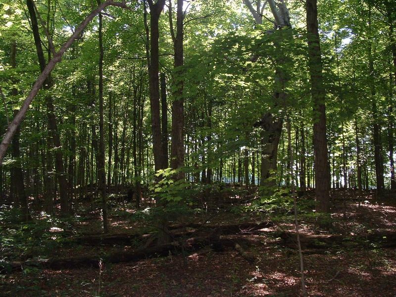 9311 Jug Road NW, Pataskala, OH 43062 Photo 76