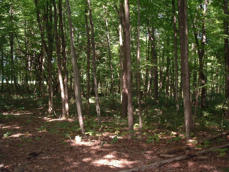 9311 Jug Road NW, Pataskala, OH 43062 Photo 77