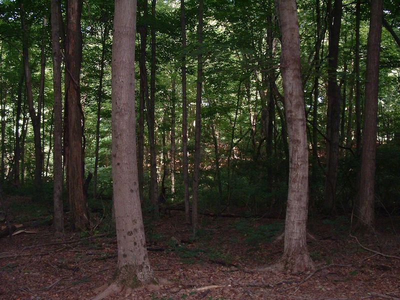 9311 Jug Road NW, Pataskala, OH 43062 Photo 78