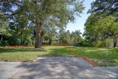 000 Newton Avenue S, Saint Petersburg, FL 33701 Photo