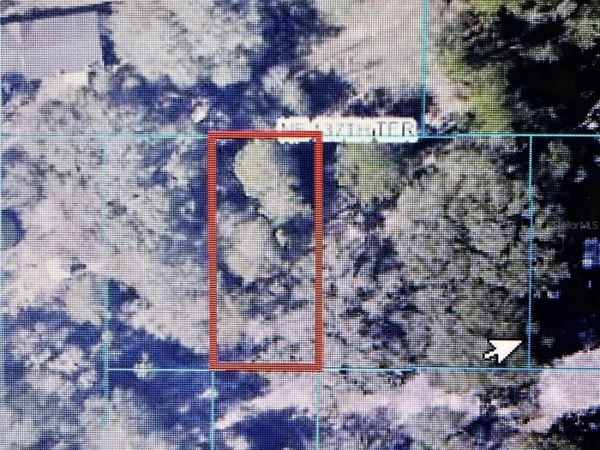 TBA NE 137TH TERRACE, FORT MC COY, FL 32134