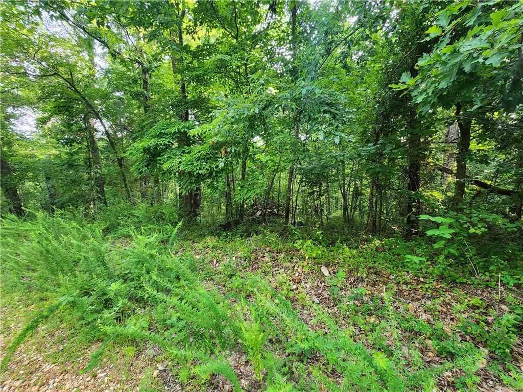 Lot#1 Devonshire Drive, Bella Vista, AR 72715 Main Photo