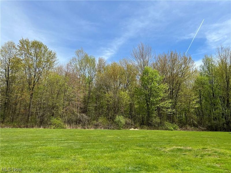 12A Willow Woods Drive, North Olmsted, OH 44070 Photo 5