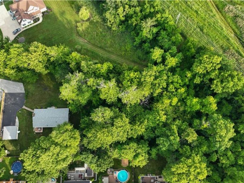 Strother Avenue, Painesville, OH 44077 Photo 1