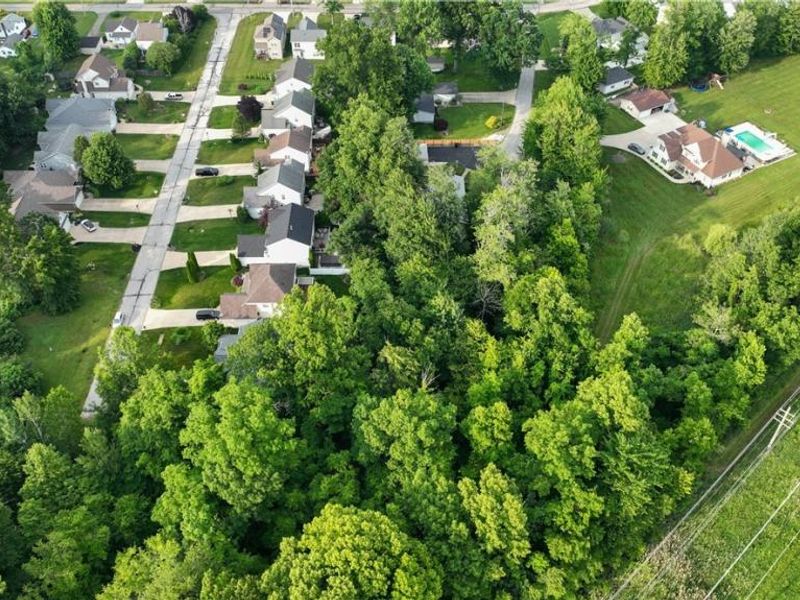 Strother Avenue, Painesville, OH 44077 Photo 2