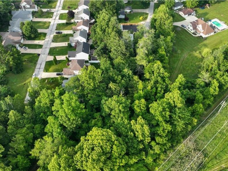 Strother Avenue, Painesville, OH 44077 Photo 3