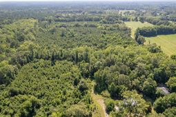 408 Meriweather Drive photo 4