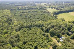 408 Meriweather Drive photo 4