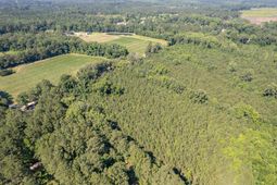 408 Meriweather Drive photo 4