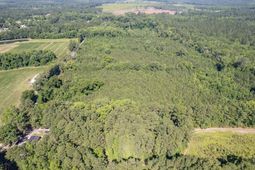 408 Meriweather Drive photo 4