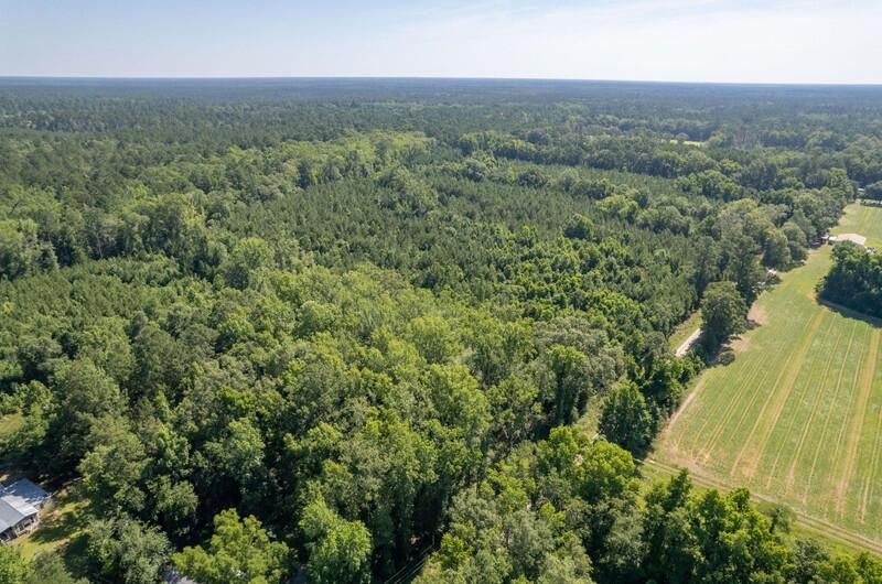 408 Meriweather Drive Photo 7