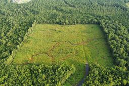 Tbd Oak Log Lake Rd. photo 4