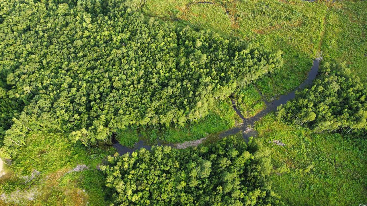 Tbd Oak Log Lake Rd. Photo 4