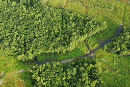 Tbd Oak Log Lake Rd. photo 4