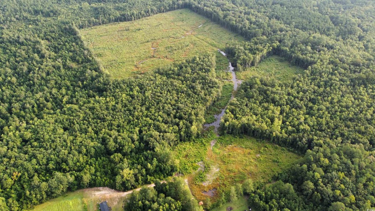 Tbd Oak Log Lake Rd. Photo 5