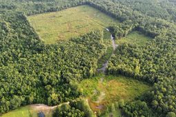 Tbd Oak Log Lake Rd. photo 4