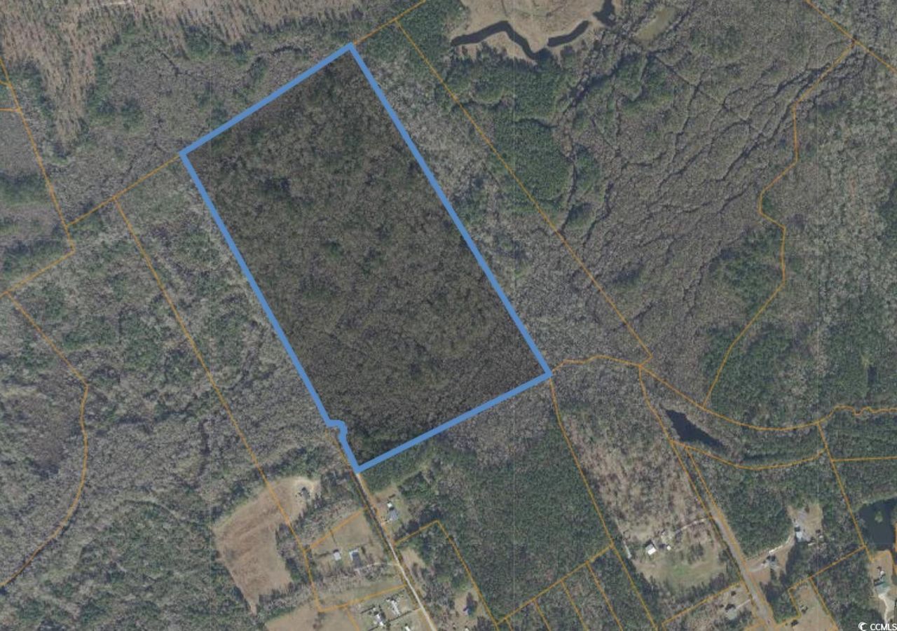 Tbd Oak Log Lake Rd. Photo 6