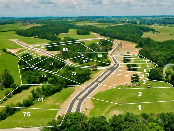 LOT75 803 Sophie Drive, Greenback, TN 37742