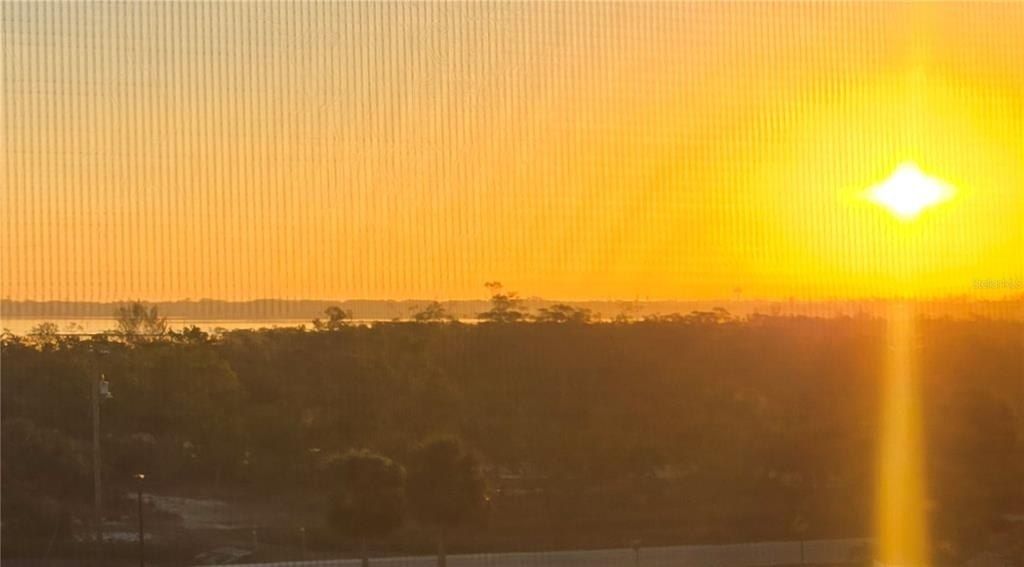 1001 Benjamin Franklin Drive, Unit 506, Sarasota, FL 34236 Photo