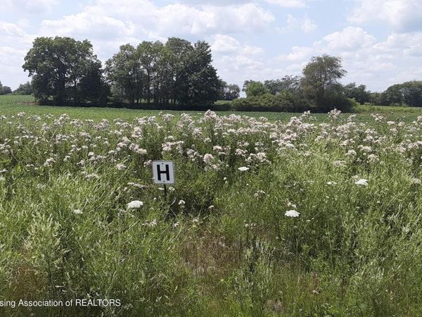 0 Montels Parcel H Way, Charlotte, MI 48813