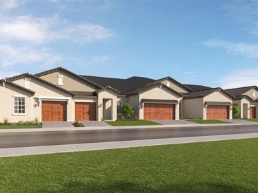 32224 CANNON RUSH DRIVE, SAN ANTONIO, FL 33576