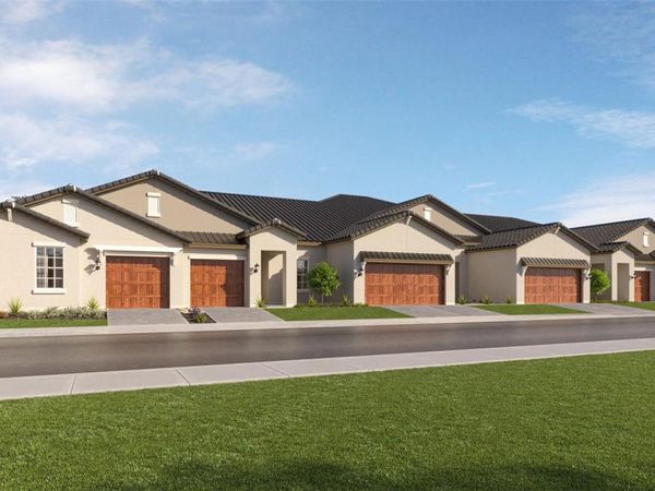 32224 CANNON RUSH DRIVE, SAN ANTONIO, FL 33576