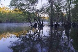 Lot 7 Black Island Rd. photo 4