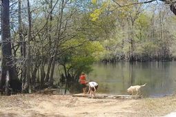 Tbd Black Island Rd. photo 4