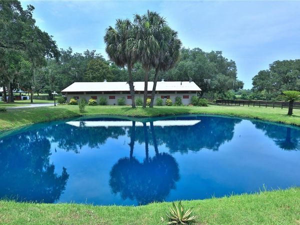 13450 NW GAINESVILLE ROAD, REDDICK, FL 32686