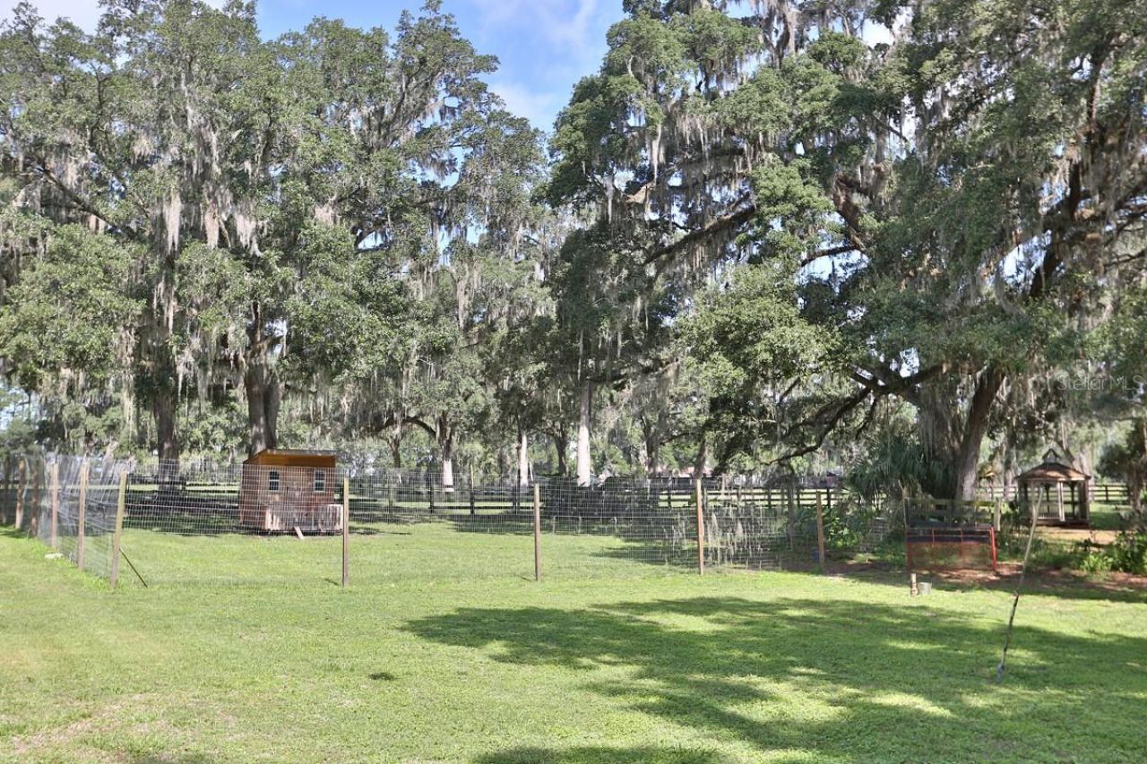 13450 NW Gainesville Road, Reddick, FL 32686 Photo