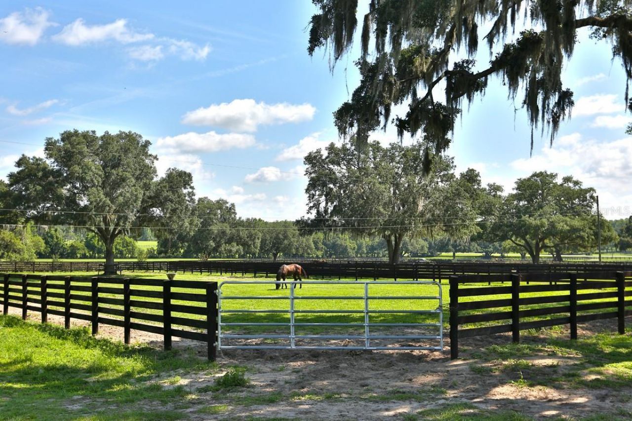 13450 NW Gainesville Road, Reddick, FL 32686 Photo