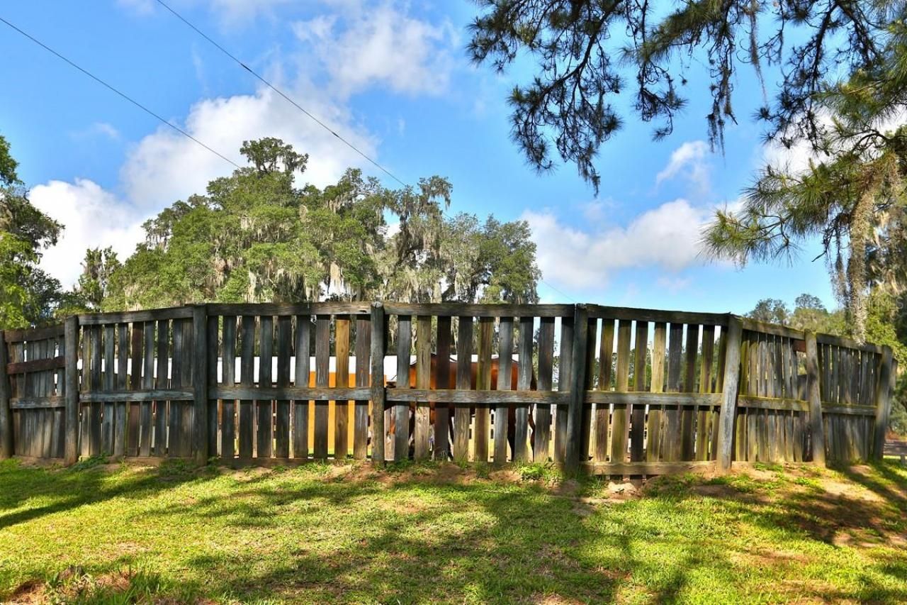 13450 NW Gainesville Road, Reddick, FL 32686 Photo