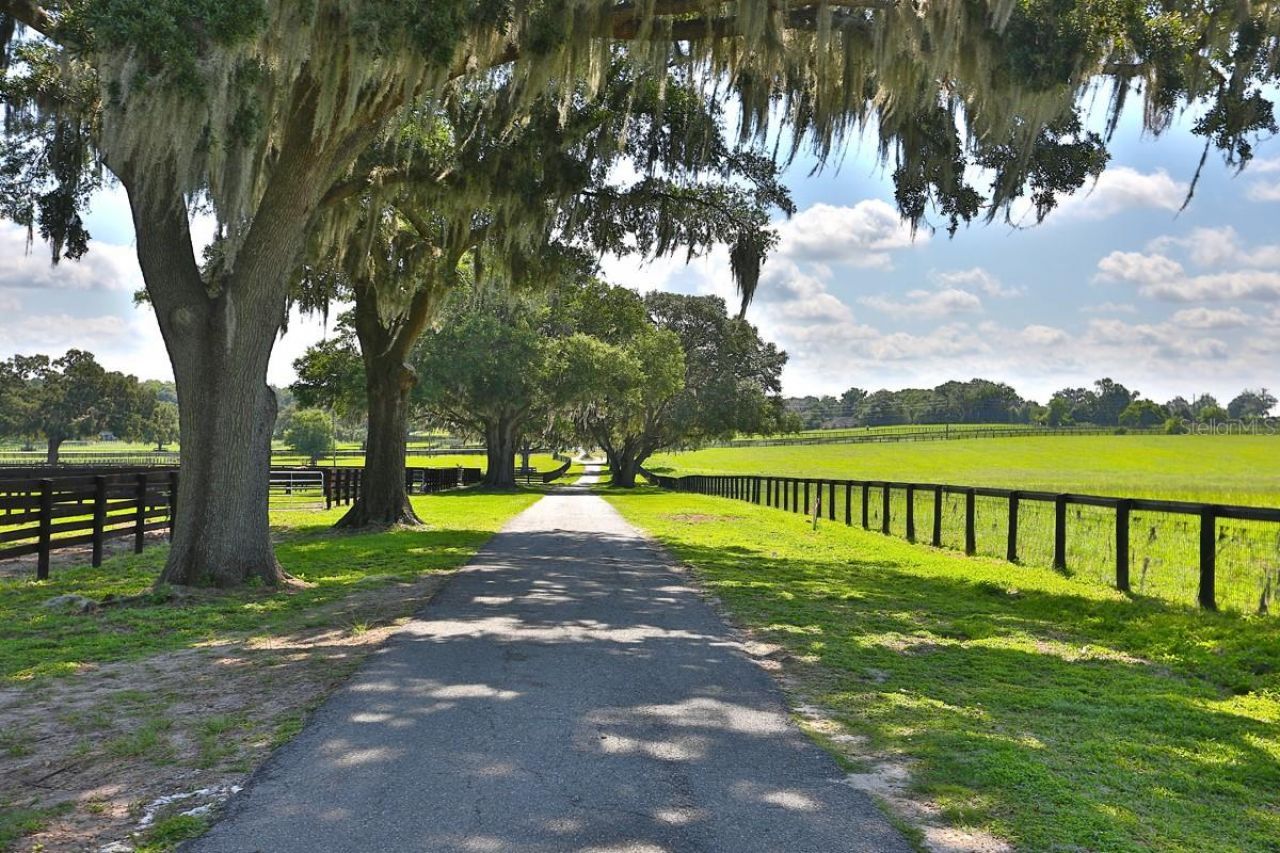 13450 NW Gainesville Road, Reddick, FL 32686 Photo