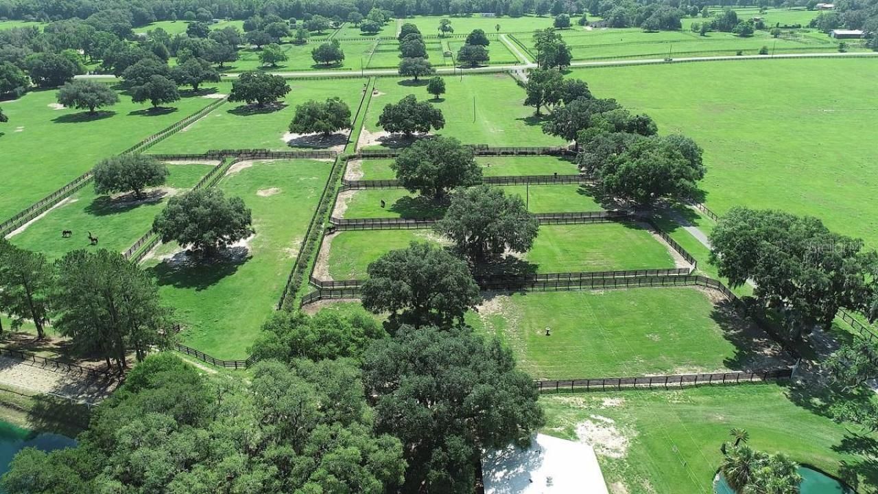 13450 NW Gainesville Road, Reddick, FL 32686 Photo