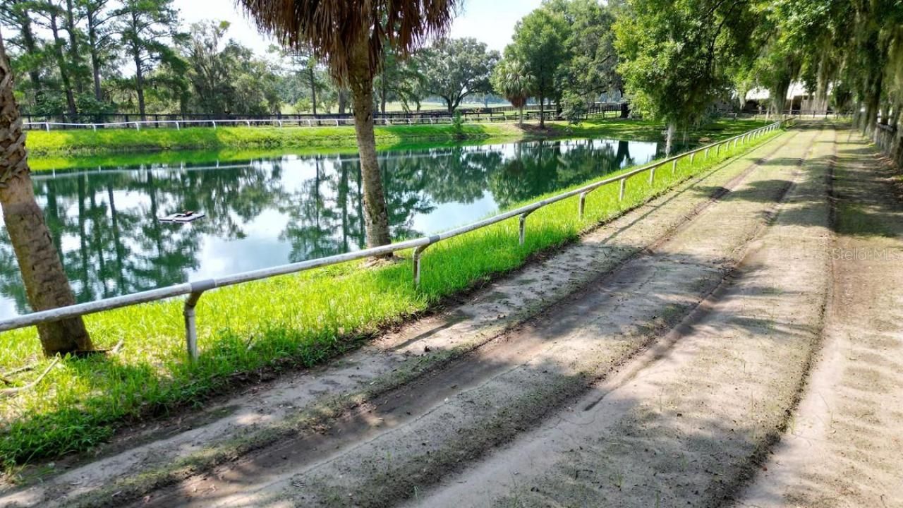 13450 NW Gainesville Road, Reddick, FL 32686 Photo