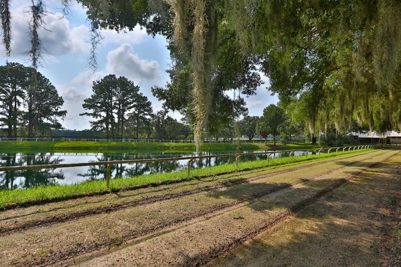 13450 NW Gainesville Road, Reddick, FL 32686 Photo