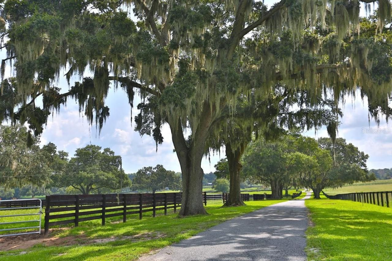 13450 NW Gainesville Road, Reddick, FL 32686 Photo