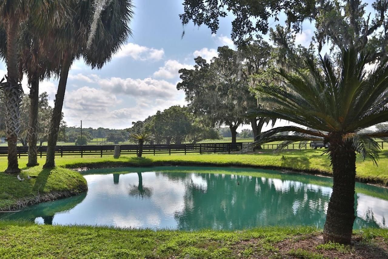 13450 NW Gainesville Road, Reddick, FL 32686 Photo