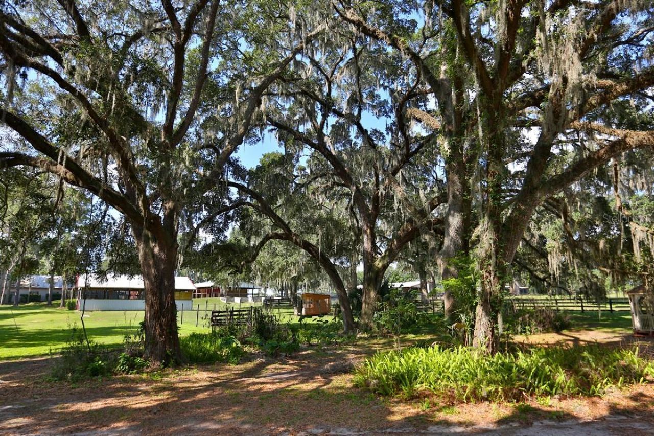 13450 NW Gainesville Road, Reddick, FL 32686 Photo