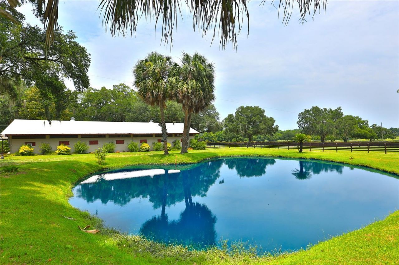 13450 NW Gainesville Road, Reddick, FL 32686 Photo