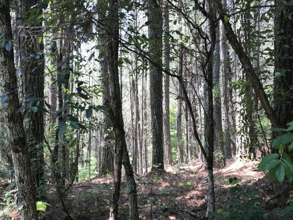 0 Hiwassee Street, Ducktown, TN 37326