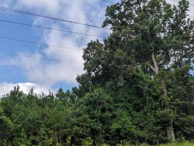 0 Highway 174, Adams Run, SC 29426