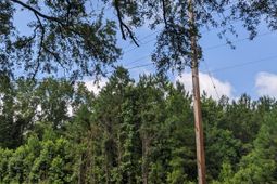 0 Highway 174 photo 4