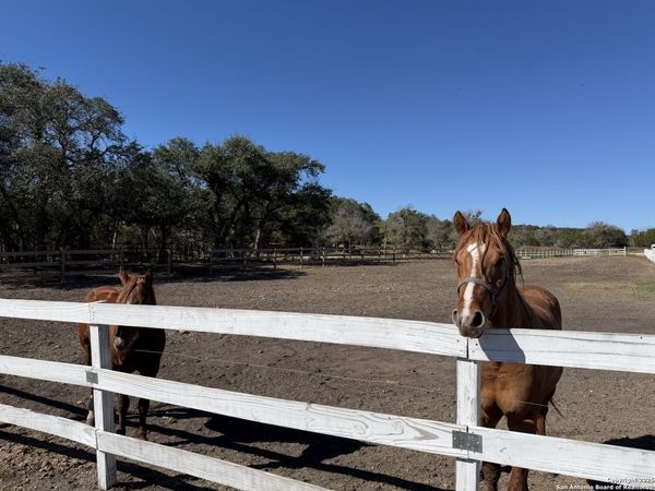 1841 Oak Meadows, Canyon Lake, TX 78133